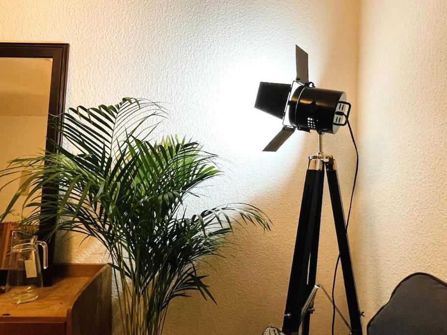 Ganze Allein Apartment *
