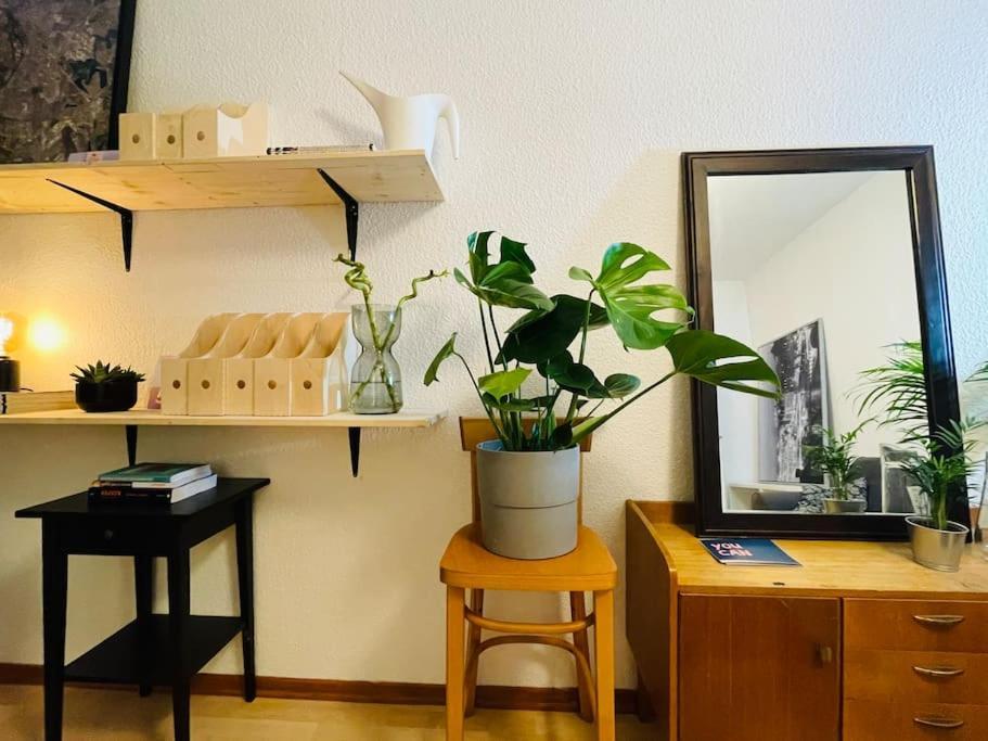 Apartment Ganze Allein