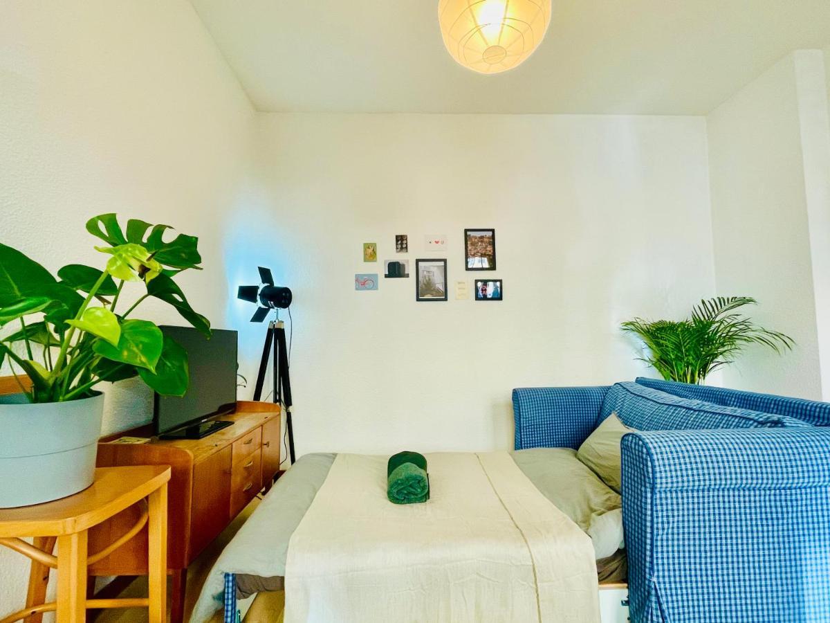 Apartment Ganze Allein Halle (Saale)